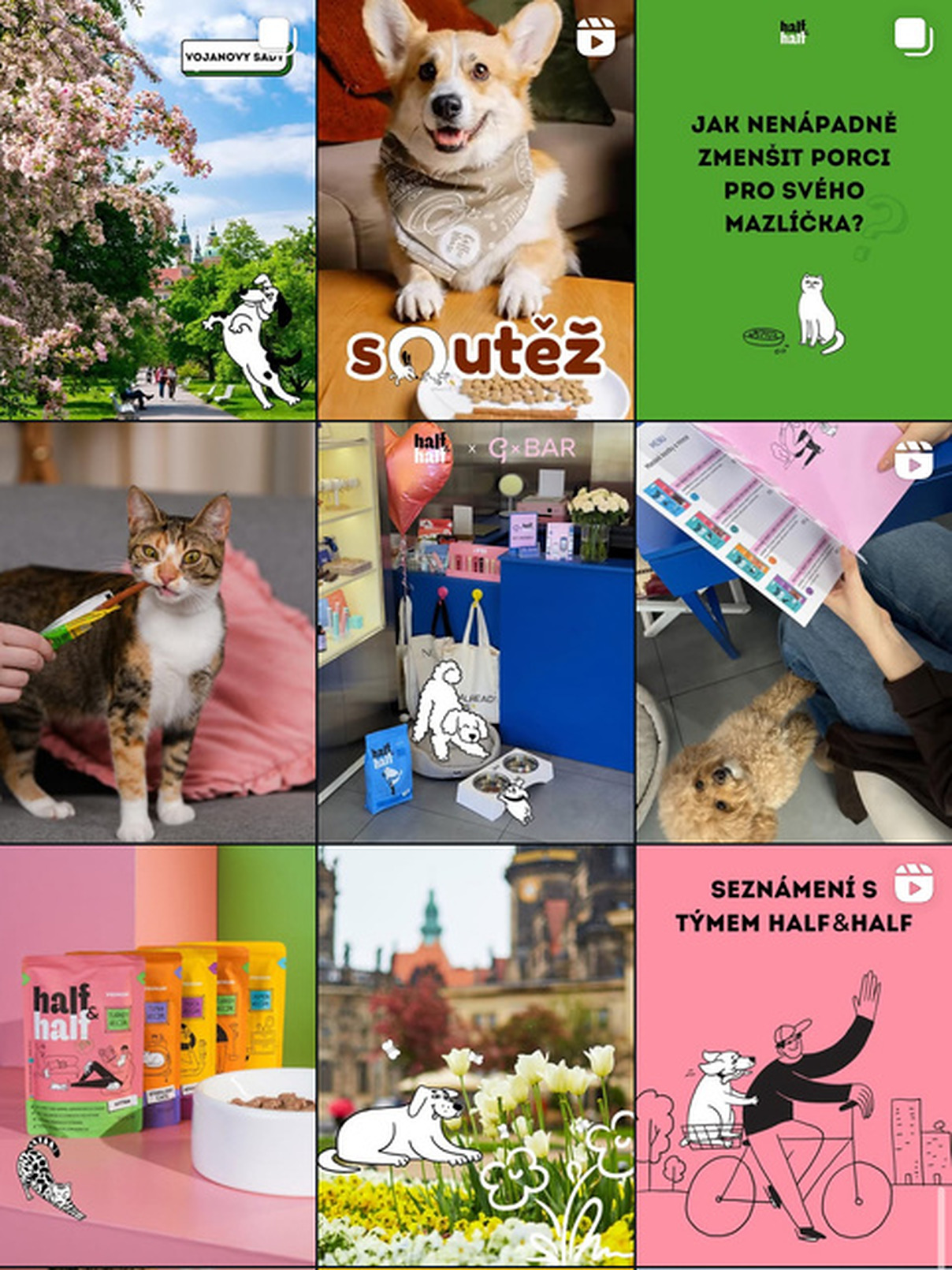 Pet project: пример работы